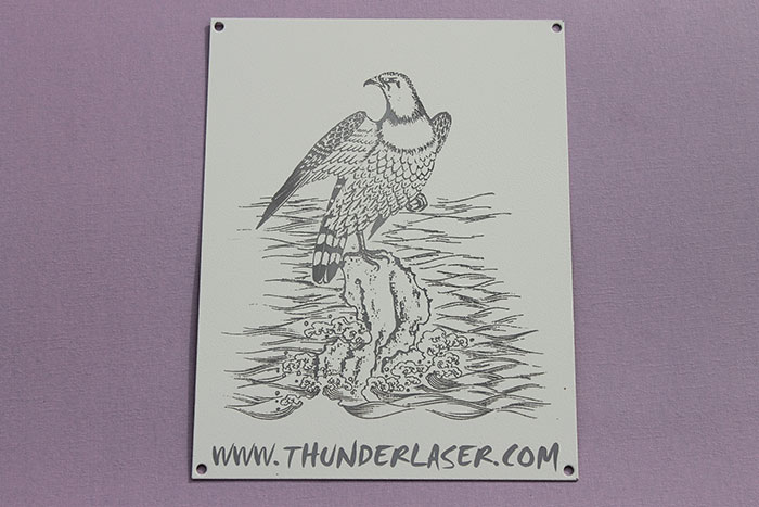 eagle Coated-Metal laser engraver