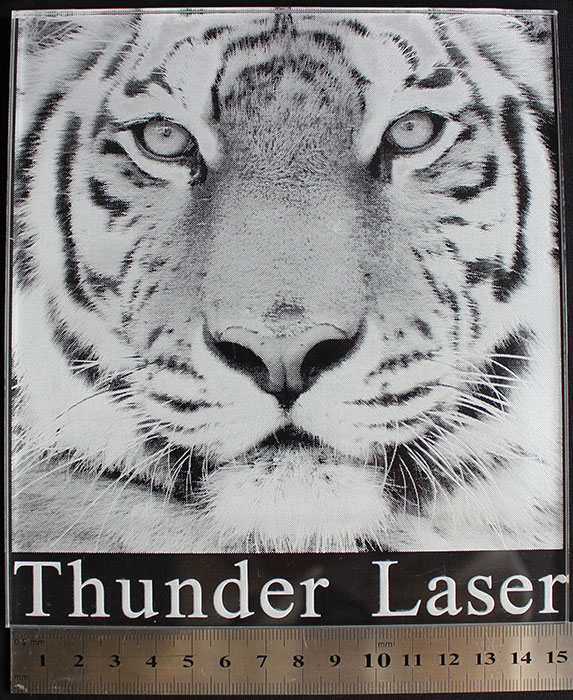 tiger фото Лазерный гравер
